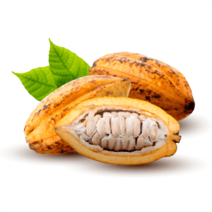 Producto-Grano-cacao